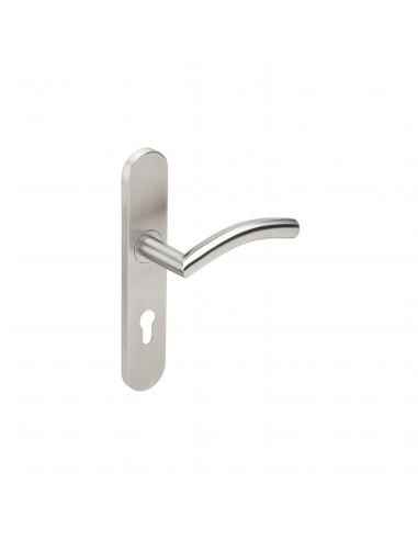 Ensemble Sur Plaque Heracles 1494