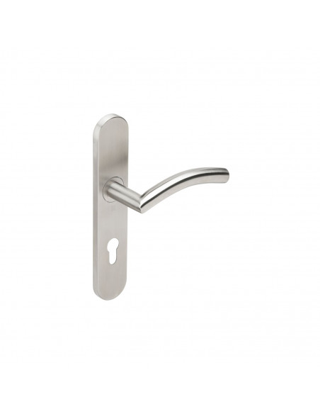 Ensemble Sur Plaque Heracles 1494