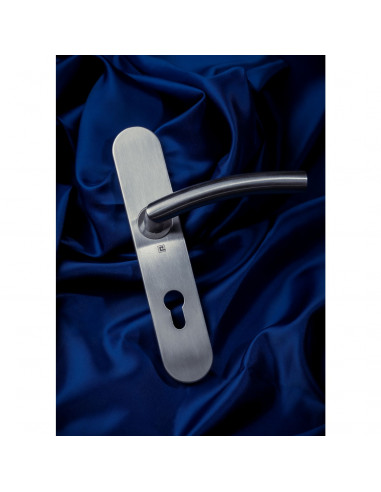 Ensemble Sur Plaque Heracles 1494