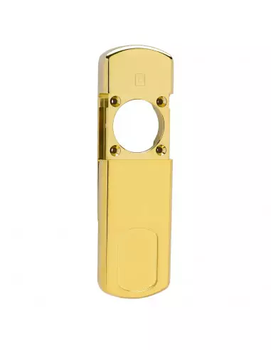 Plaque De Sécurité Héraclès Salomé Magnétique...