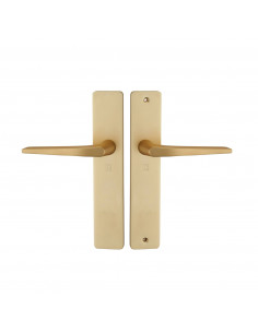 Ensemble Sur Plaque Héraclès Hionna