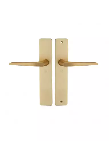 Ensemble Sur Plaque Héraclès Hionna