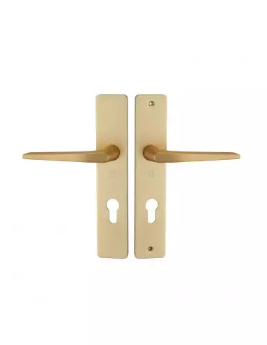 Ensemble Sur Plaque Héraclès Hionna