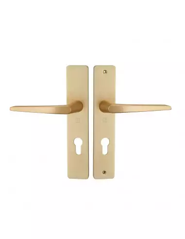 Ensemble Sur Plaque Héraclès Hionna