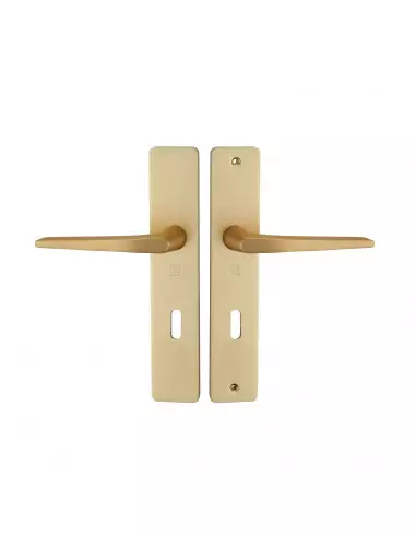 Ensemble Sur Plaque Héraclès Hionna