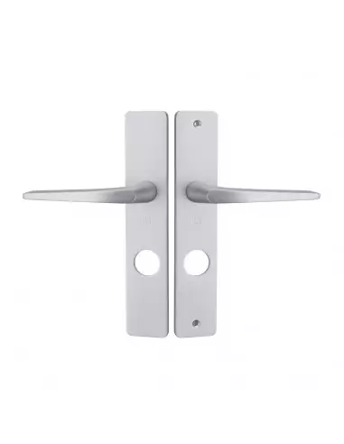 Ensemble Sur Plaque Héraclès Hionna