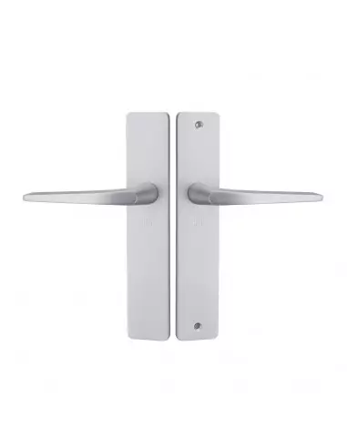 Ensemble Sur Plaque Héraclès Hionna