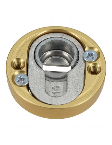 Rosaces De Sécurité Heracles Salome