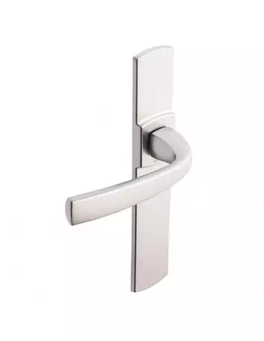 Ensemble Sur Plaque Vachette Muze Grande Plaque