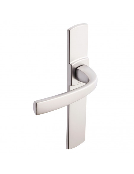 Ensemble Sur Plaque Vachette Muze Grande Plaque