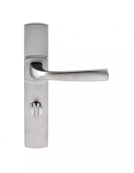 Ensemble Sur Plaque Vachette Muze Grande Plaque