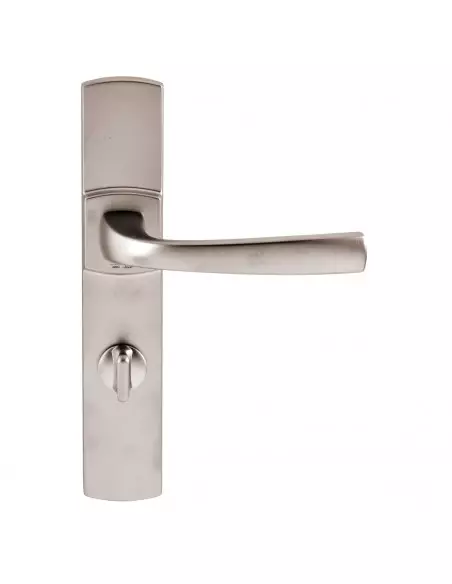 Ensemble Sur Plaque Vachette Muze Grande Plaque