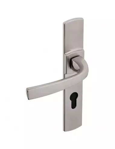 Ensemble Sur Plaque Vachette Muze Grande Plaque