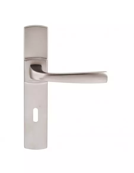 Ensemble Sur Plaque Vachette Muze Grande Plaque