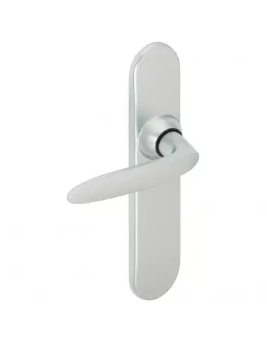 Ensemble Sur Plaque Vachette Jazz Grande Plaque