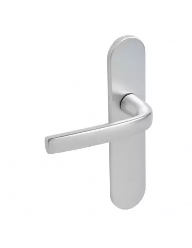 Ensemble Sur Plaque Logio Vachette Grande Plaque