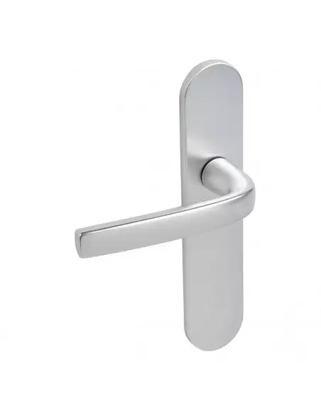 Ensemble Sur Plaque Logio Vachette Grande Plaque