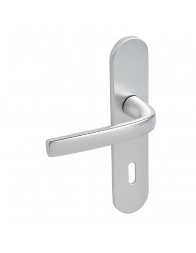 Ensemble Sur Plaque Logio Vachette Grande Plaque