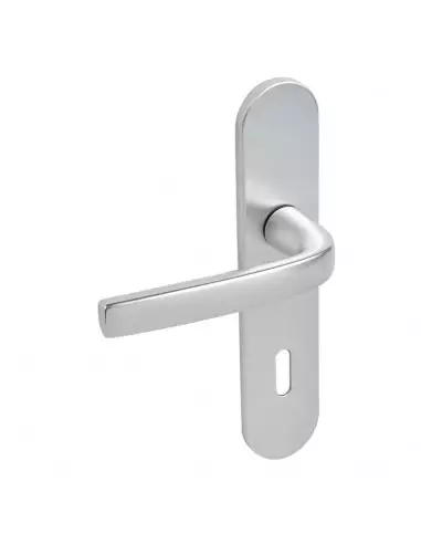 Ensemble Sur Plaque Logio Vachette Grande Plaque