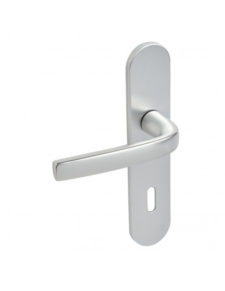 Ensemble Sur Plaque Logio Vachette Grande Plaque