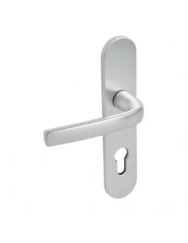 Ensemble Sur Plaque Logio Vachette Grande Plaque