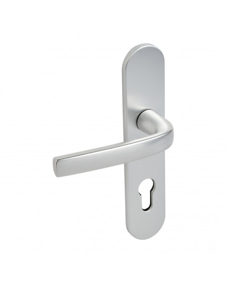 Ensemble Sur Plaque Logio Vachette Grande Plaque