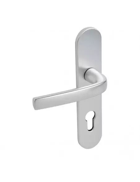 Ensemble Sur Plaque Logio Vachette Grande Plaque