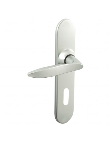 Ensemble Sur Plaque Vachette Twist Petite Plaque