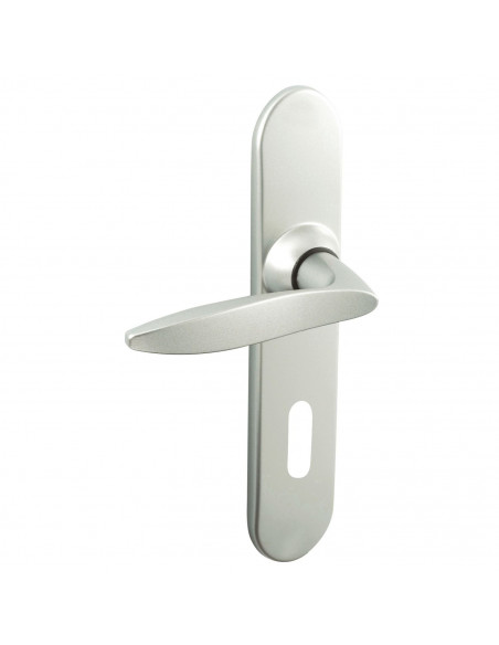 Ensemble Sur Plaque Vachette Twist Petite Plaque