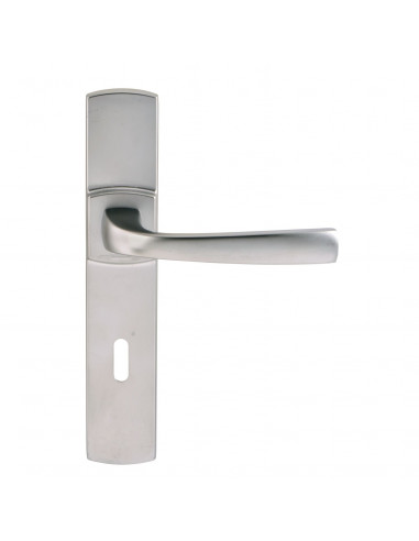 Ensemble Sur Plaque Vachette Muze Petite Plaque