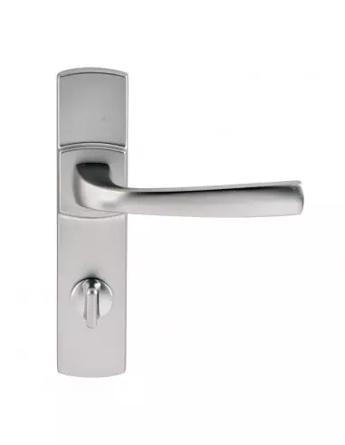 Ensemble Sur Plaque Vachette Muze Petite Plaque