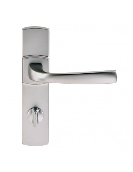 Ensemble Sur Plaque Vachette Muze Petite Plaque