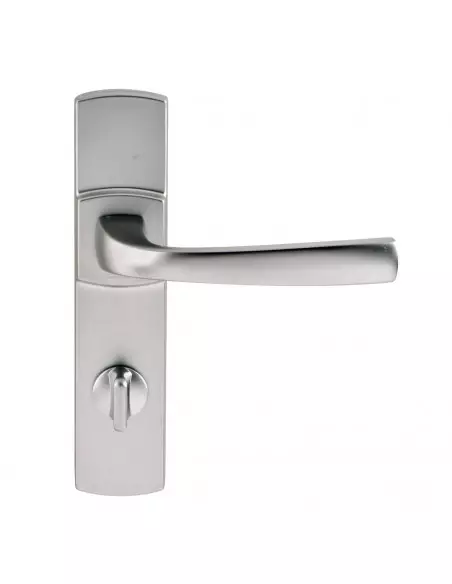 Ensemble Sur Plaque Vachette Muze Petite Plaque