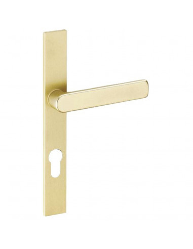 Ensemble Sur Plaque Vachette Riv 28 Plaque Étroite