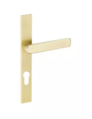 Ensemble Sur Plaque Vachette Riv 28 Plaque Étroite