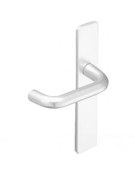 Ensemble Sur Plaque Vachette Bercy