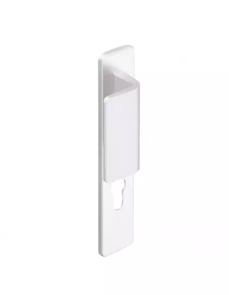 Ensemble Sur Plaque Vachette Bercy