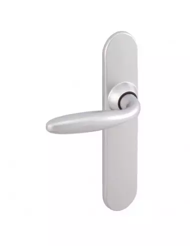 Ensemble Sur Plaque Vachette Opera