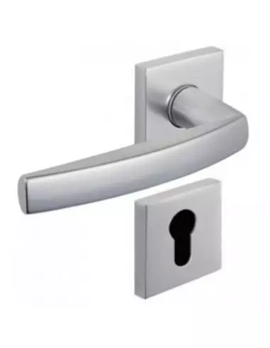 Ensemble Sur Rosace Vachette Cityzen