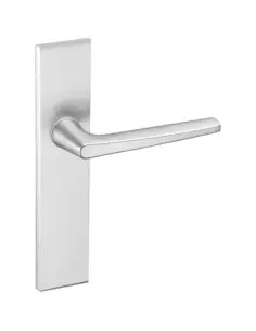 Ensemble Sur Plaque Vachette Riv-Junior