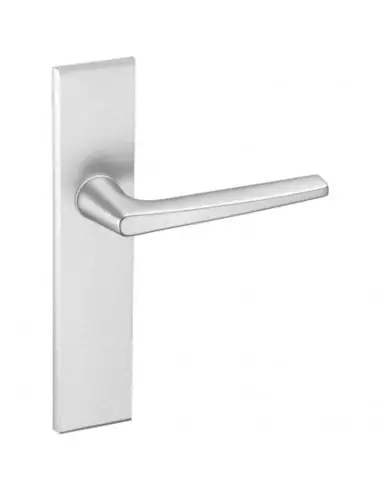 Ensemble Sur Plaque Vachette Riv-Junior