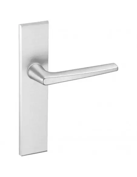 Ensemble Sur Plaque Vachette Riv-Junior