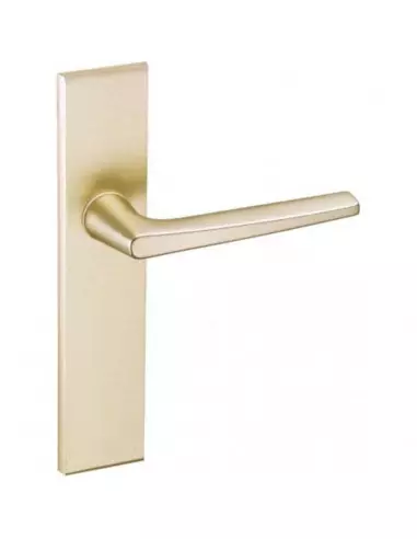 Ensemble Sur Plaque Vachette Riv-Junior