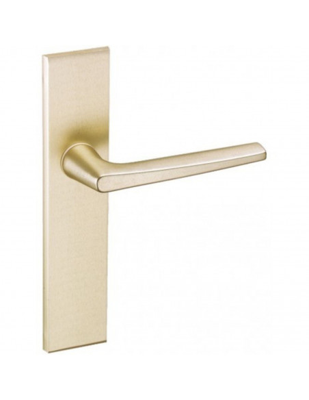 Ensemble Sur Plaque Vachette Riv-Junior