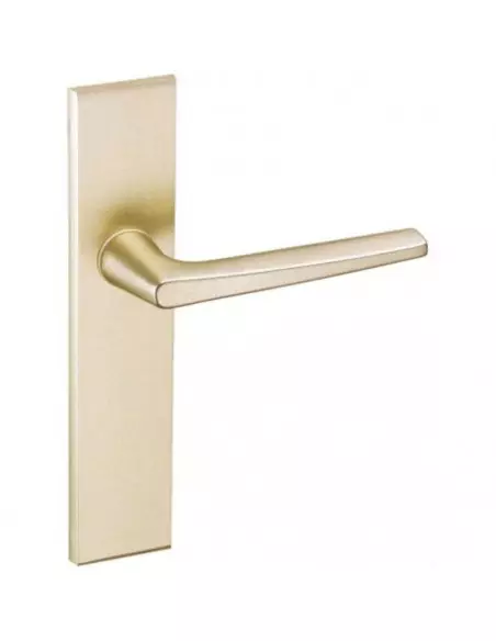 Ensemble Sur Plaque Vachette Riv-Junior