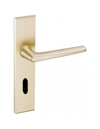 Ensemble Sur Plaque Vachette Riv-Junior