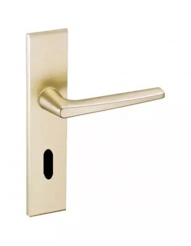 Ensemble Sur Plaque Vachette Riv-Junior