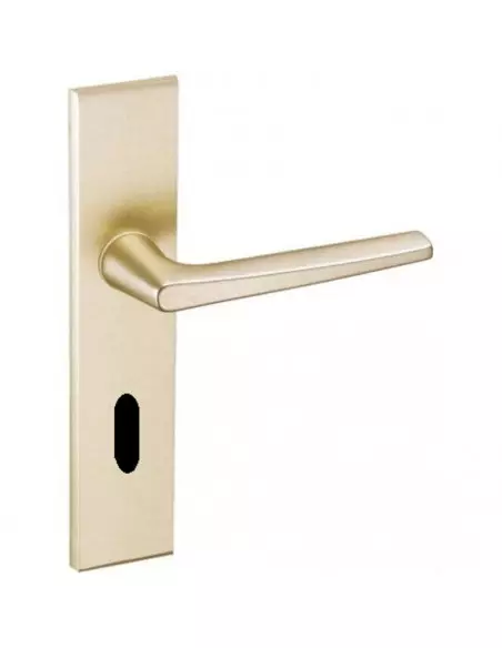 Ensemble Sur Plaque Vachette Riv-Junior