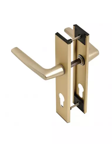 Ensemble Sur Plaque Vachette Riv-Junior