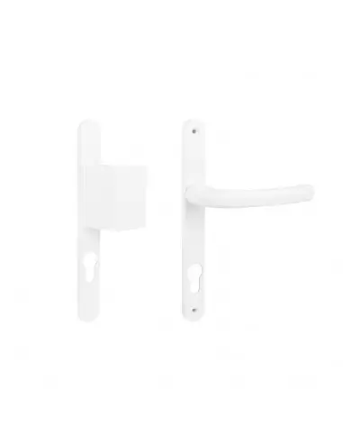 Ensemble Sur Plaque Sofi Étroite